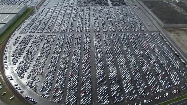Parking Dla Nowych Samochodów Porcie Zeebrugge Dystrybucja Przemysłu Motoryzacyjnego Motoryzacyjnego — Wideo stockowe