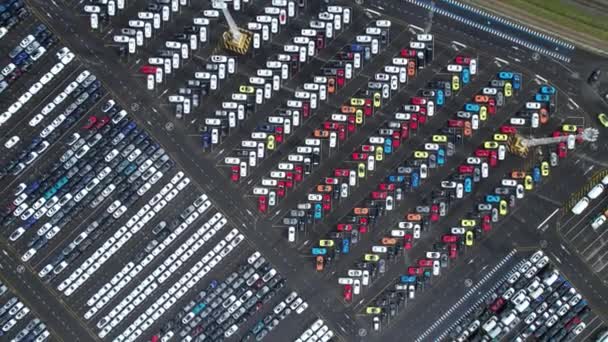 Estacionamento Para Carros Novos Porto Zeebrugge Distribuição Automóveis Indústria Automotiva — Vídeo de Stock