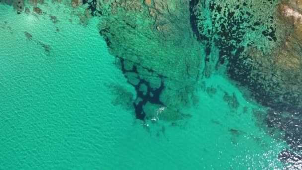 Najlepsze Plaże Korsyce Filmik Dronami Trzech Plaż Wysokiej Jakości Materiał — Wideo stockowe
