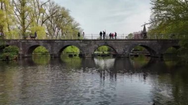 Bruges. Aşk gölündeki köprü, turistik bir yer. Belçika 'da bir şehir. Yüksek kalite 4k görüntü