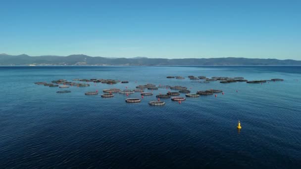 Farma Morska Wybrzeżu Której Hodowane Mięczaki Ryby Krewetki Kształcie Okręgu — Wideo stockowe