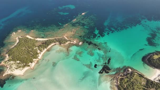 Дрон Летить Над Пляжем Гранд Спернон Острові Корсика Починаючи Від — стокове відео
