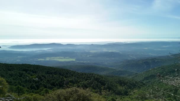 科西嘉岛鸟瞰着松树和树木间的地平线 高质量的4K镜头 — 图库视频影像