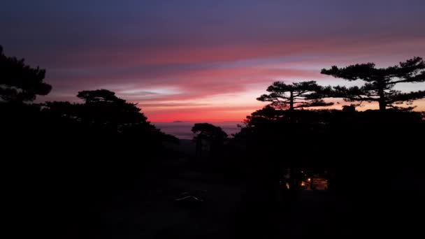 새벽이 밤하늘 항공기는 소나무를 하늘은 색상으로 그려집니다 지평선의 — 비디오