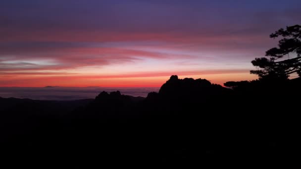 黎明前的夜空 无人机穿过森林中的松树 天空被漆成不同的颜色 地平线上的山脉 — 图库视频影像