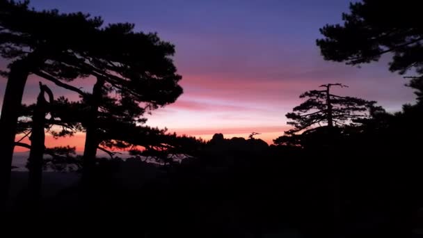夜明け前からの空 森の中の松の木を通るドローン飛行 空は様々な色で描かれています 地平線上の山々 — ストック動画
