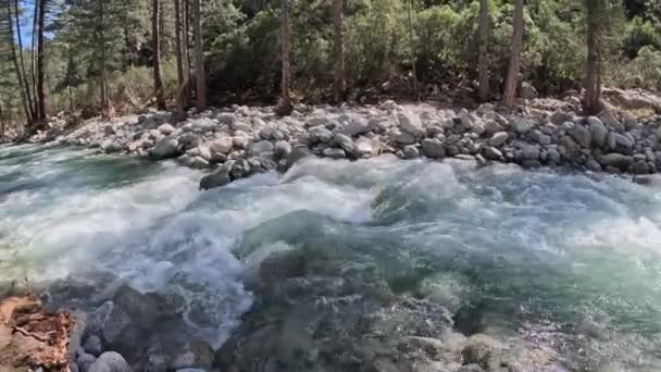 自然河流瀑布森林晨光神奇 高质量的4K镜头 图库视频