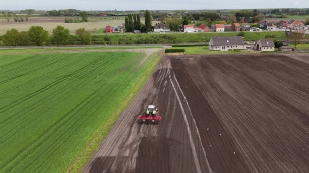 Watch Tractor Plows Field Bright Daylight Tilling Fertilizing Soil Optimal — Stock Video