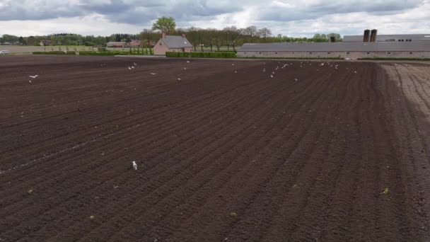 背景上有个谷仓的农场农业机械使农田耕作和施肥 图库视频片段