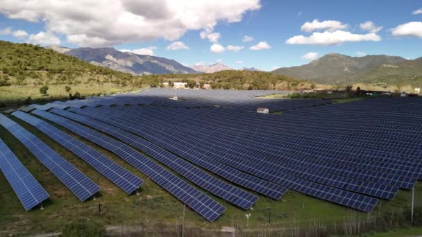 在一片广阔的土地上 大量的太阳能电池板在阳光下闪闪发光 利用绿色能源促进可持续发电 免版税图库视频
