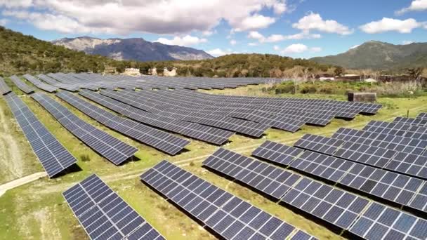 Vasto Campo Pannelli Solari Che Generano Energia Verde Sullo Sfondo — Video Stock