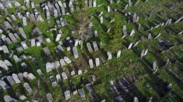 Old Jewish Cemetery Ukraine Chernivtsi Region High Quality Footage — Vídeo de stock