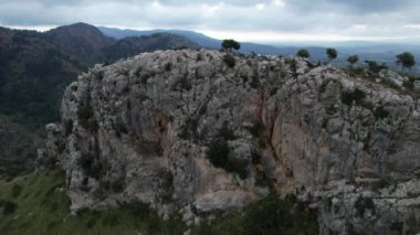 Palma de Mallorca 'da yeşil ağaçlarla kaplı kayalık bir dağ..