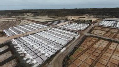 Salinas de Janubio, Lanzarote 'de tuz düzlükleri, Kanarya Adaları. Hava aracı görüntüsü. Yüksek kalite 4k görüntü