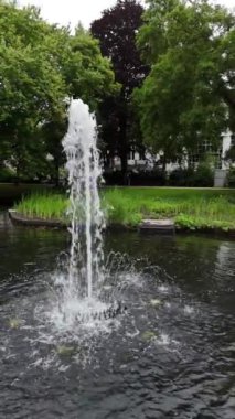 Bruges parkında huzurlu bir çeşme, sakin bir yaz gününde uzun, zarif bir su jeti sergileniyor..