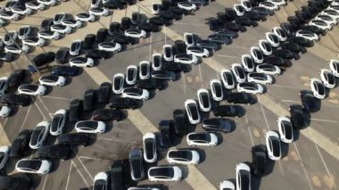 Belçika limanında çok sayıda yeni araba park halinde. Karmaşık şablonlarda organize edilmiş, satıcılara sevkiyat ve dağıtım bekleniyor..