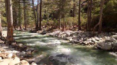 Bereketli yeşilliklerin arasından süzülen sakin bir nehir Korsika manzaralarının doğal güzelliklerini gözler önüne seriyor..