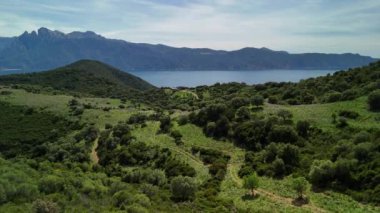 Korsika 'nın doğal güzelliğini keşfedin. Canlı yeşilliği, yuvarlanan tepeleri ve berrak gökyüzü altında nefes kesici kıyı manzaralarıyla..