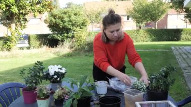 Bahçıvanın biri güneşli bir öğleden sonra bahçesindeki masada renkli çiçekler ve sulu şeyler hazırlar..