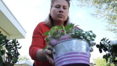 Bahçıvan güneşli bir öğleden sonra canlı bitkiler ve çiçekler yetiştirir. Bahçıvanlığa olan tutkusunu gözler önüne serer..