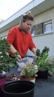 Tutkulu bir bahçıvan arka bahçesindeki çeşitli saksı bitkileriyle ilgileniyor..