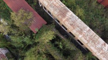 Yunanistan 'daki tren mezarlığının ürkütücü güzelliğini keşfedin. Doğanın unutulmuş vagonları yuttuğu yer..