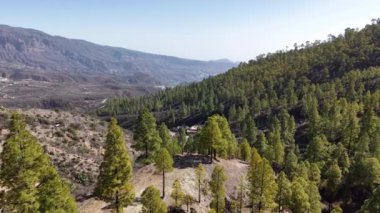 Yüksek çam ağaçları ve çarpıcı dağ manzaralarıyla Gran Canaria 'nın huzur dolu güzelliğini yaşayın. Bu konum, adaların doğal cazibesini ve çeşitliliğini gösteriyor..