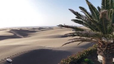 Büyük Kanarya 'yı hava perspektifinden keşfetmek, parlak bir gökyüzü altında parlak palmiye ağaçları eşliğinde nefes kesici kumullar sergilemek. Adaları, doğal güzellikleri ve eşsiz arazileri tecrübe edin..