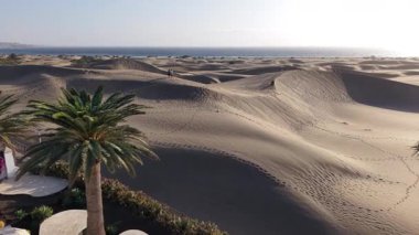 Gran Canaria 'nın nefes kesici hava manzarasını ele alalım, geniş kum tepeleri ve görkemli sahil şeridi boyunca bereketli palmiye ağaçları. Güneşli güzel bir gün bu huzurlu manzarayı güzelleştirir..