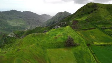 Tenerife 'nin kuzey kesiminde canlı tarlaların ve etkileyici sıradağların çarpıcı manzarasına tanık olmak için süzül. Bu hava perspektifi adanın doğal güzelliğini vurgular..