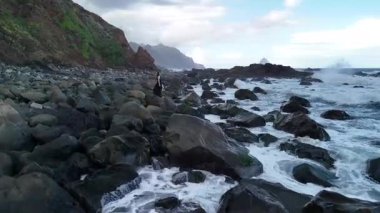Tenerifes 'in çarpıcı kıyı şeridini, kayalık kıyıları, çarpan dalgaları ve güzel bir gökyüzü altında yemyeşil manzaraları içeren hava keşfine tanık olun. Bu adanın doğal güzelliğini keşfedin..
