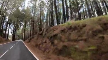 Tenerife 'nin dingin güzelliğini keşfedin. Yoğun ormanlarda, yüksek ağaçlar ve sakin ve macera hissi uyandıran huzurlu manzaralarla çevrili..