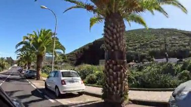 Tenerife 'de sakin bir yol boyunca canlı palmiyeleri ve güzel yeşillikleri keşfedin, açık bir gökyüzü altında adaların doğal güzelliklerini gösterin..