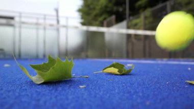 Yerel bir parkta düşen yapraklarla süslenmiş mavi bir tenis kortu yer alıyor. Oyuncular keskin sonbahar havasında atış talimi yapıyorlar. Çevrenin mevsimsel güzelliğini gösteriyorlar..
