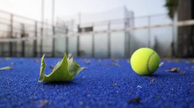 Canlı bir mavi kort, bir tenis topu ve yüzeyde dinlenen bir yaprak ile vurgulanır ve spor tesisinde sakin bir öğleden sonranın sükunetini yakalar..