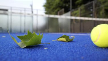 Parlak renkli tenis kortunda mavi yüzeyde dağınık yeşil yapraklar var. Canlı sarı bir top, doğal ışığın altında, huzurlu bir spor ortamı sergiliyor..