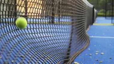 Aydınlık bir günde, iyi korunan bir tenis kortunda merkez boyunca uzanan temiz bir ağ vardır. Çevreleyen yeşillik, spor alanının çekici atmosferini arttırır..