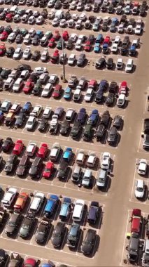 Hollanda 'daki büyük bir otomobil hurdalığı farklı koşullarda parçalar ve geri dönüşüme hazır sıra sıra dizilmiş araçlar sergiliyor. Bahçe, otomotiv yenileme üzerine odaklanmış aktivitelerle dolup taşıyor..