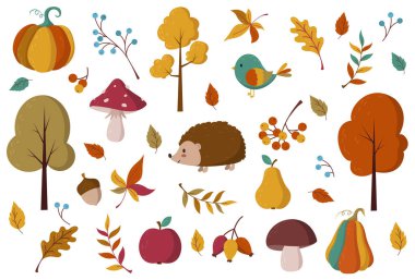 Sonbahar klibimiz ayarlandı. Sonbahar çizimleri ve tasarım elementlerinin koleksiyonu