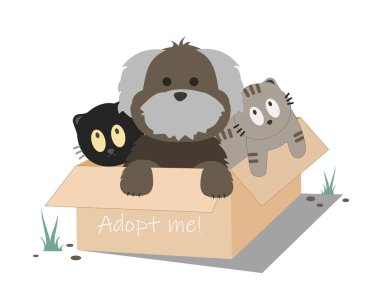 Karton kutunun içinde bana mesaj gönderen sevimli kedi ve köpek. Evsiz hayvanlar, beni evlat edinin. Sosyal çalışma veya son vektör düz illüstrasyon gönüllülüğü.