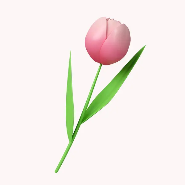 3d tulip flowers .icon isolated on white background. 3d rendering illustration. Clipping path..