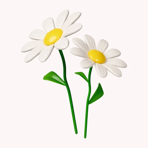 3d chamomile flower. icon isolated on white background. 3d rendering illustration. Clipping path..