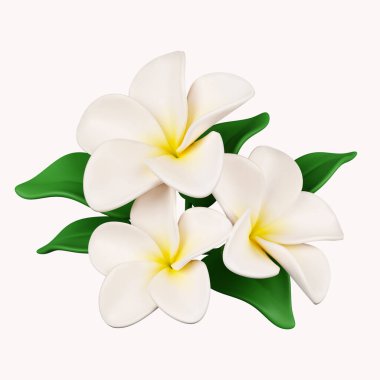 3D frangipani çiçekleri beyaz arka planda izole edilmiş ikon. 3D tasvir. Kesme yolu..