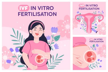 Bir kadın, embriyo gelişimi ve doğurganlık tekniklerini vurgulayan bilimsel bir diyagram da dahil olmak üzere tüp bebek sürecini gösteren bir Vektör çizimi