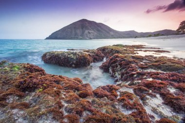 Geniş mavi deniz manzarası ve kıyılarda mercan kayaları üzerinde büyüyen kahverengi deniz yosunları ve yanında Mawun Sahili Lombok Endonezya 'da bulunan sivri uçlu bir tepe vardır.