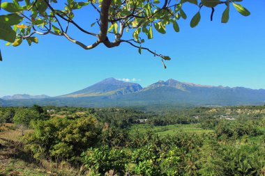 Tropikal Rinjani Dağları, Lombok Endonezya 'daki palmiye ağaçları ve açık mavi gökyüzü ile yemyeşil vadiden görkemli bir şekilde yükseliyor.