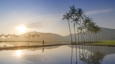 Gün doğumu, sular altında kalan pirinç tarlasını palmiye ağaçları ve dağlarla yansıtıyor. Huzurlu Sabah Huzuru.