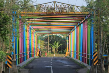 Renkli Köprü, Canlı Renkler ve Eşsiz Tasarım ile Tropikal Hedefe Giden Kırsal Yol Boyunca Açılıyor.