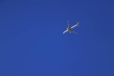 Uçak canlı mavi gökyüzüne yükseliyor, New Heights 'a uçuyor.