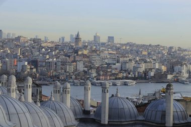 Şehir Manzarası Şehir Gökdeleni, Nehir ve Mimari Kubbeler Bir Çatı Vantage Noktasından